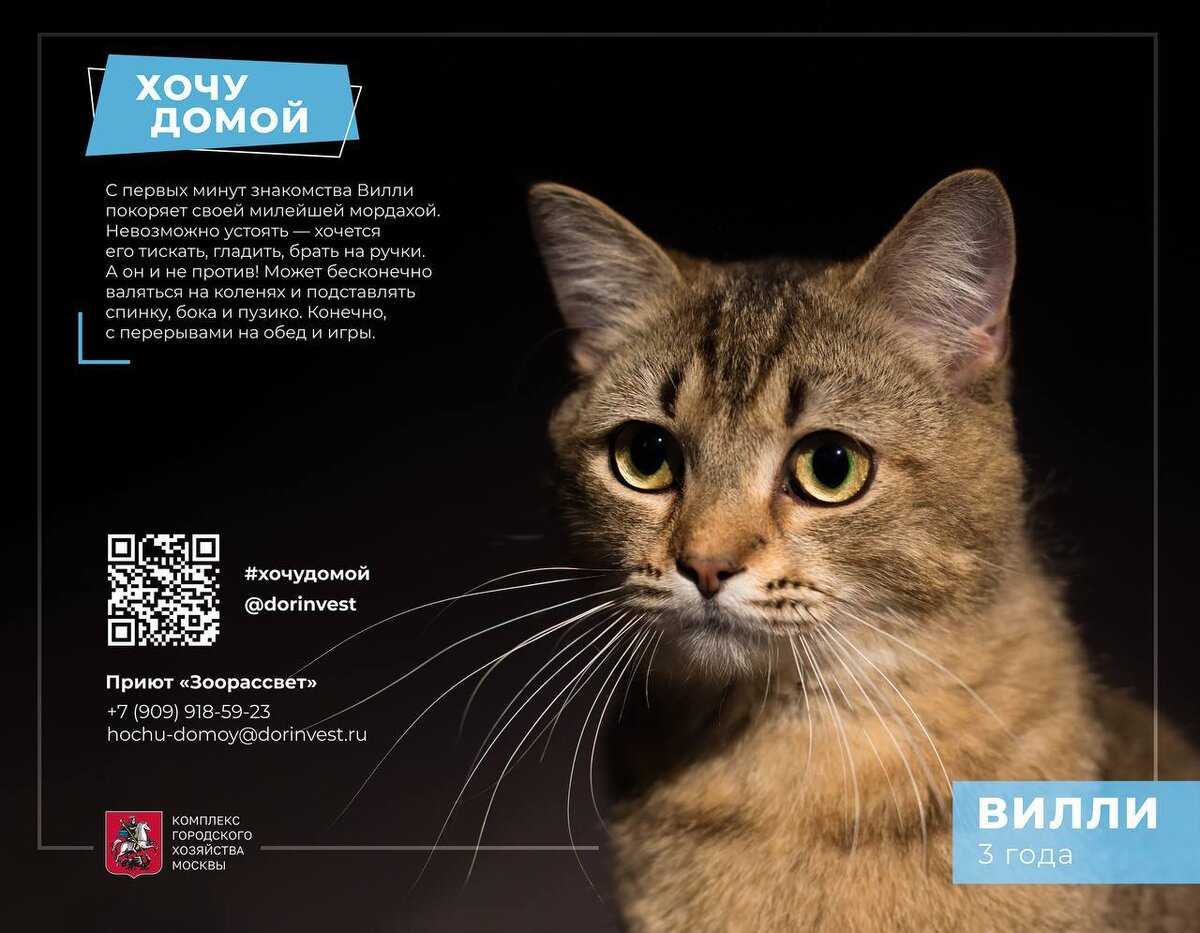 Фото: Комплекс городского хозяйства Москвы