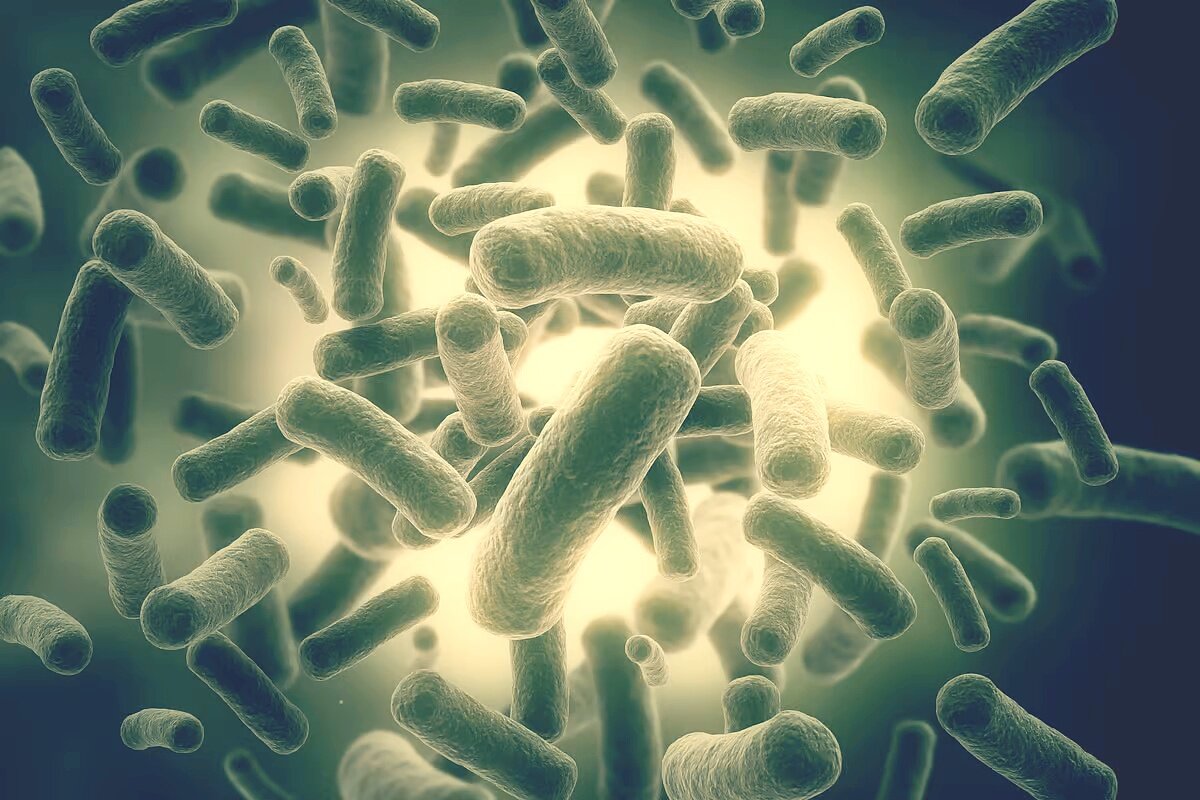 Супербактерия кишечная палочка. Микробы под ногтями под микроскопом. Антибиотик губит бактерии. Микробы.
