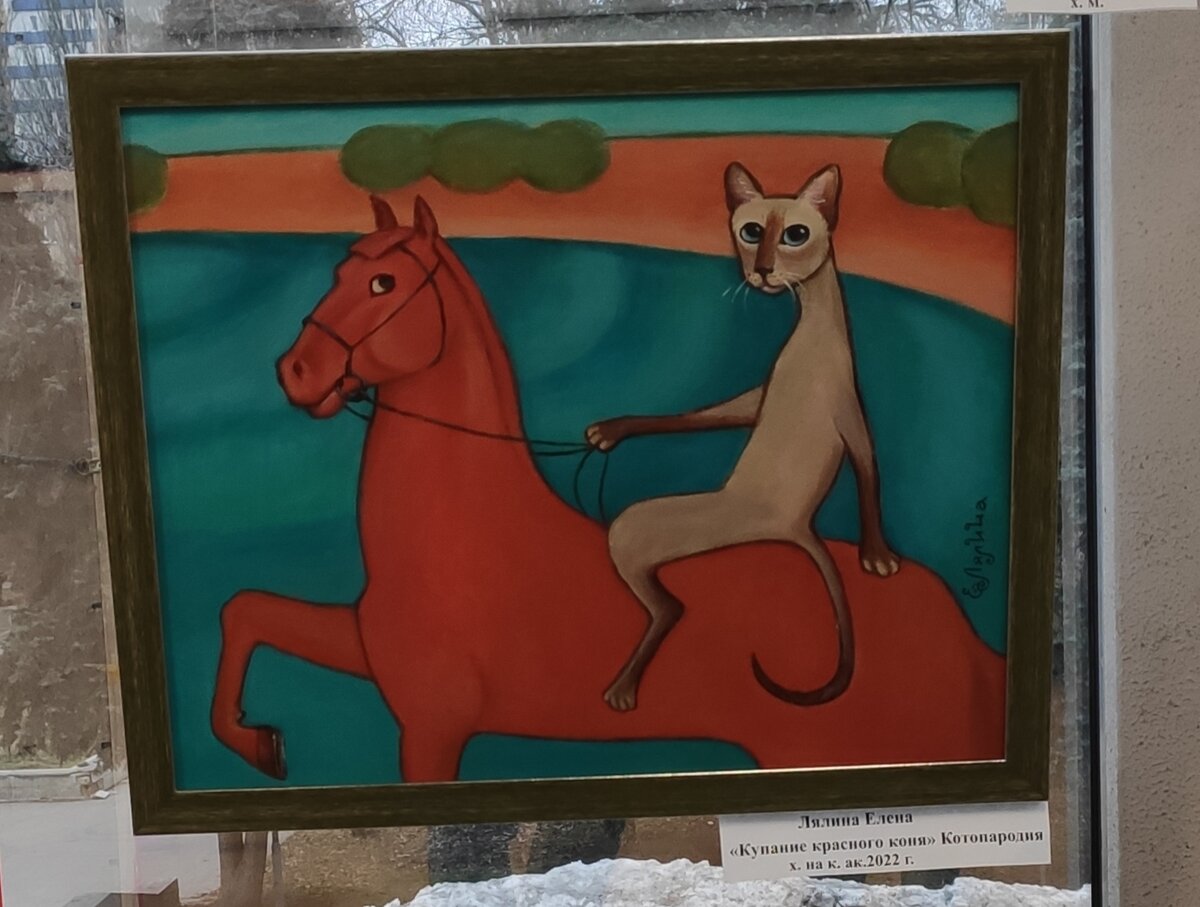 Коты дружат с лошадьми, но немного иначе