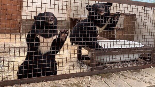    © Sputnik / Инна Гришук