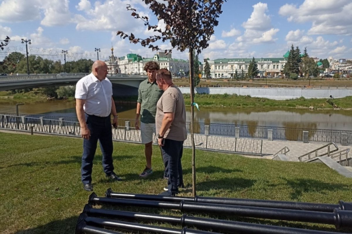    Мэр Омска рассказал, как продвигается работа на будущей Аллее олимпийцев