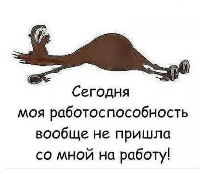 И вот так повиснув на дверях и балансируя. Однажды после работы. И однажды на работе если вы меня найдете без движения лежу. Рассказы о совушке и её друзьях. Удалось вернуть мужа в семью семью где он вырос.