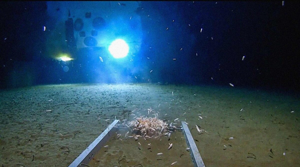    Фото: Discovery/Five Deeps Expedition Август Макаров
