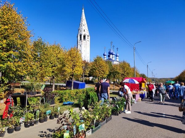    В Палехе на ярмарке можно купить "Патриота", "Президента" и настойку моли