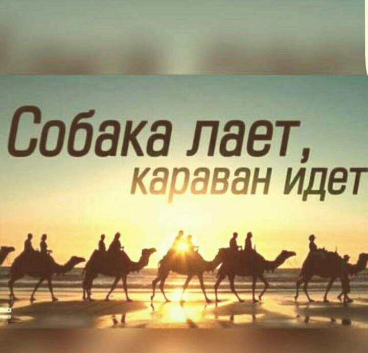 Яндекс. Открытый источник