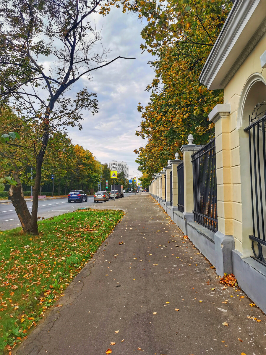 На улице Академика Курчатова 