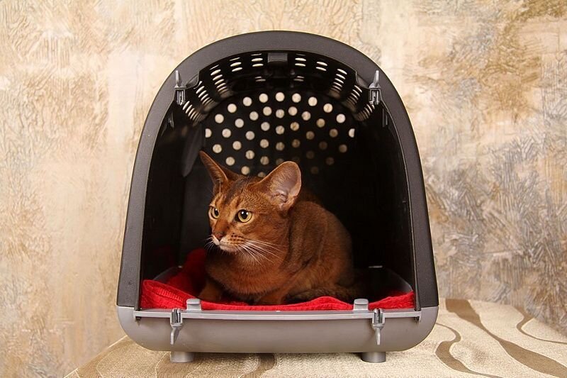 При выборе переноски необходимо помнить о следующих характеристиках: