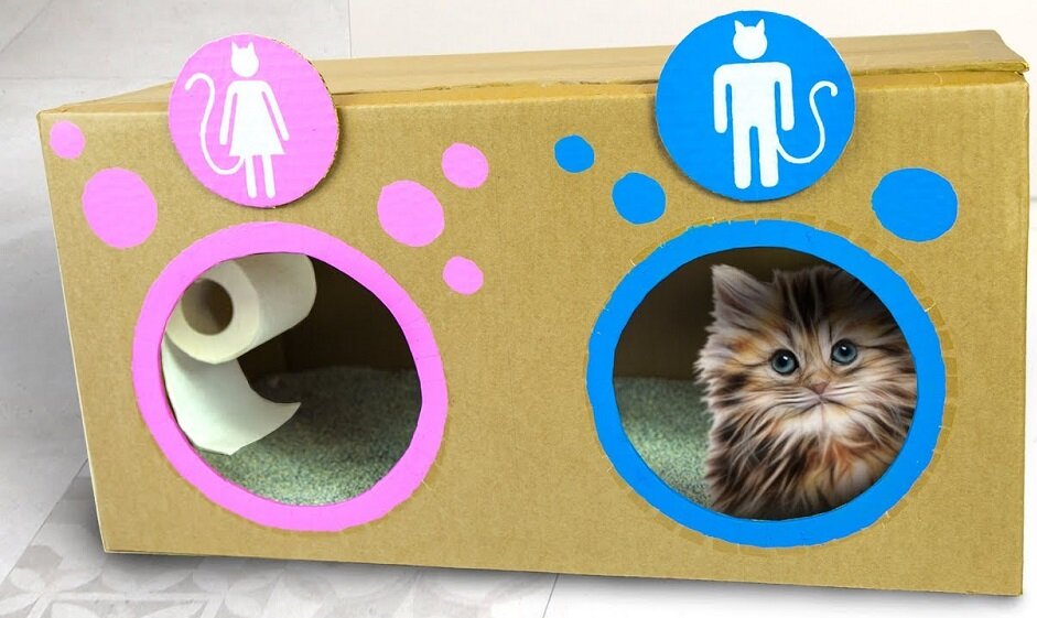 Закрытый туалет для кошек своими руками - картинки и фото manikyrsha.ru