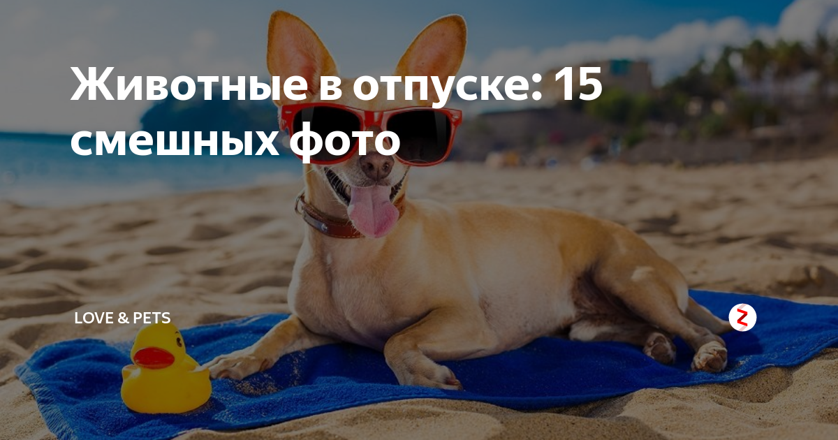 Отпуск фото картинки прикольные с надписями прикольные