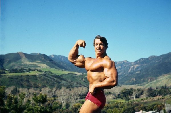 �������� � � �������� ������: ����.