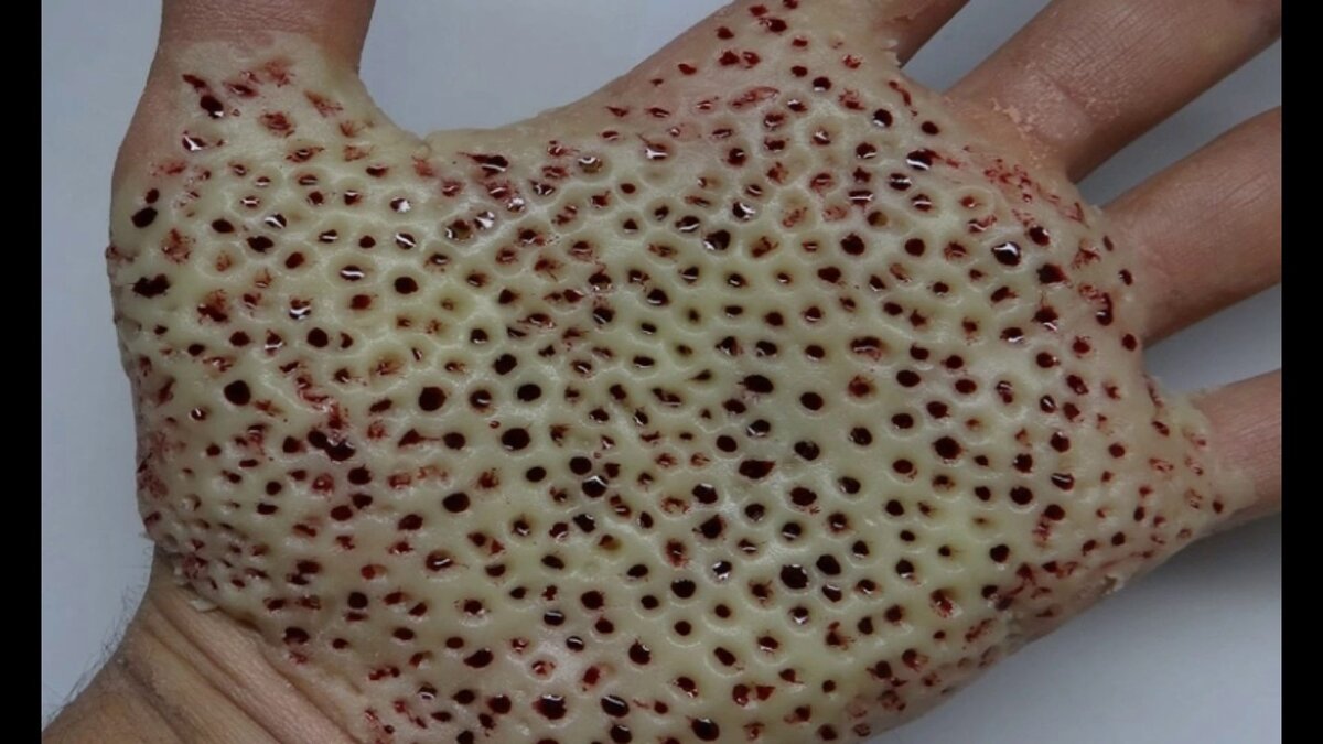 Семена лотоса 