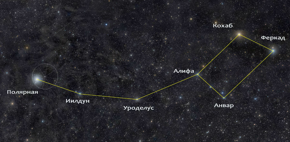 Карта созвездия "Большая медведица"