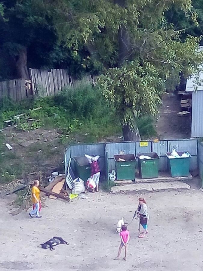  Фото: предоставлено читателем.