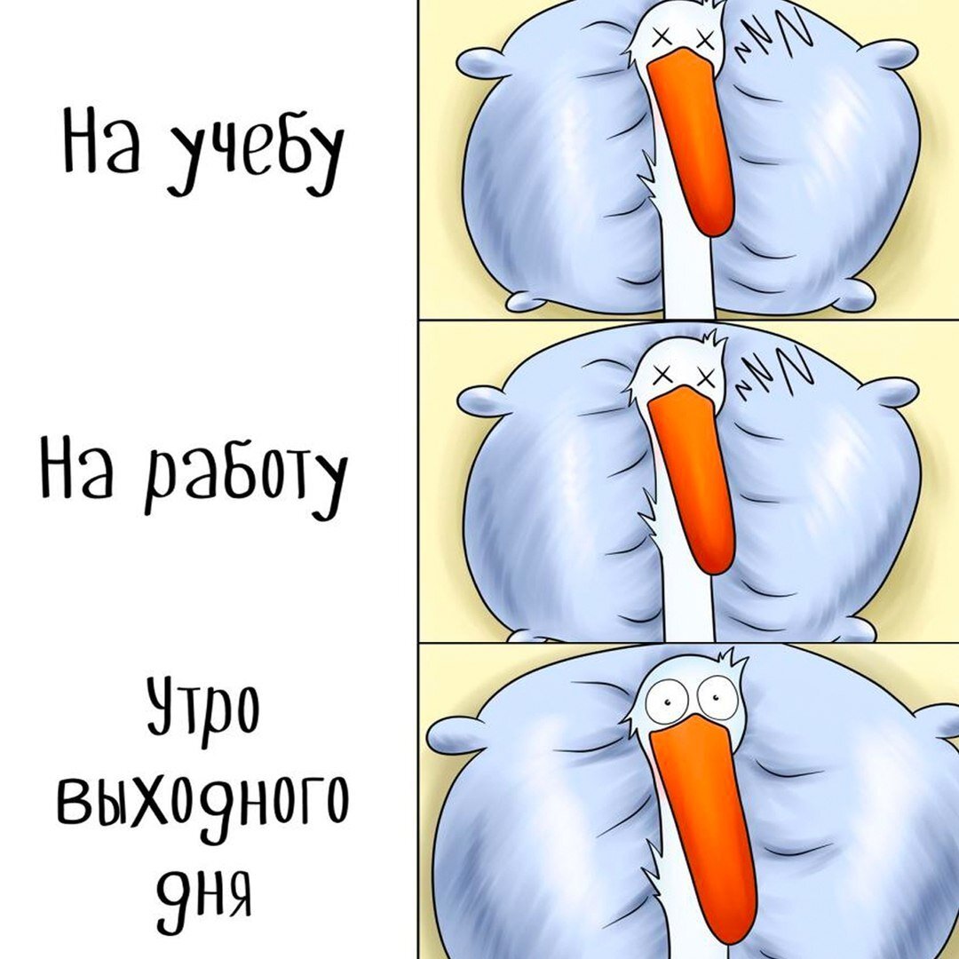 В каждом из нас есть что-то от этого Гуся: забавные комиксы о том, как  здорово выспаться, хорошо покушать и помечтать о деньгах | Супер! | Дзен