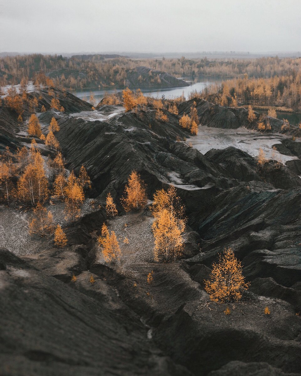 Фотографии автора