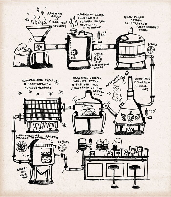 Этапы пивоварения схема