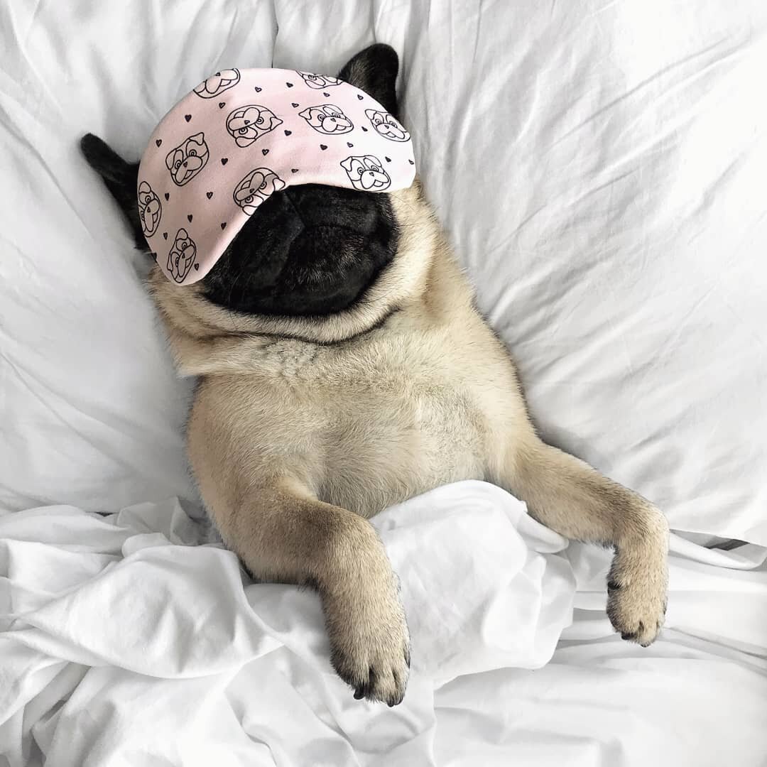 Кекс в нашей фирменной масочке для сна, любитель подавить на бочок