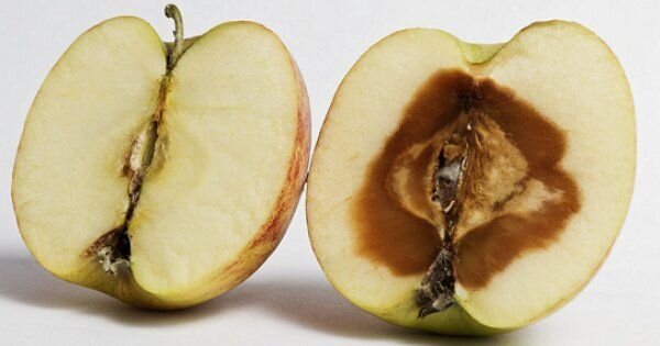 Что можно сделать, чтобы яблоки не темнели?