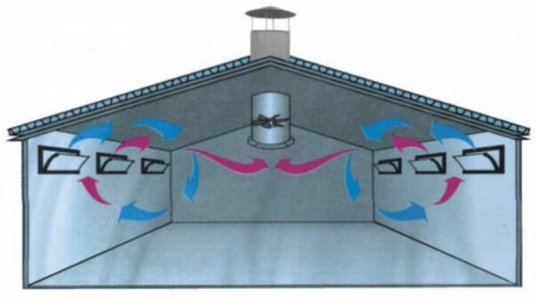 Пошаговая инструкция постройки курятника на даче своими руками