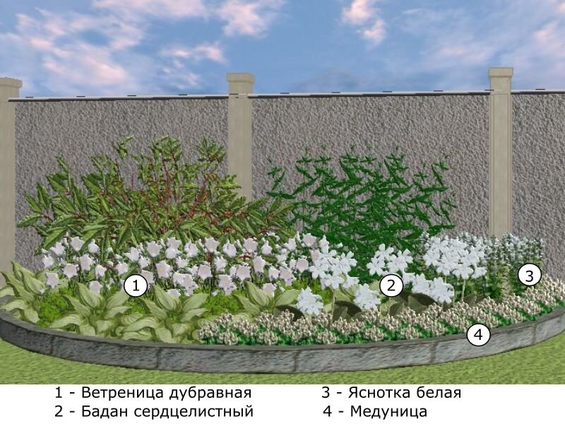 Цветник с тенелюбивыми многолетними цветами