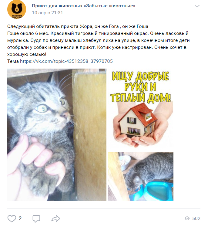 Группа ВК "Приют для животных "Забытые животные"