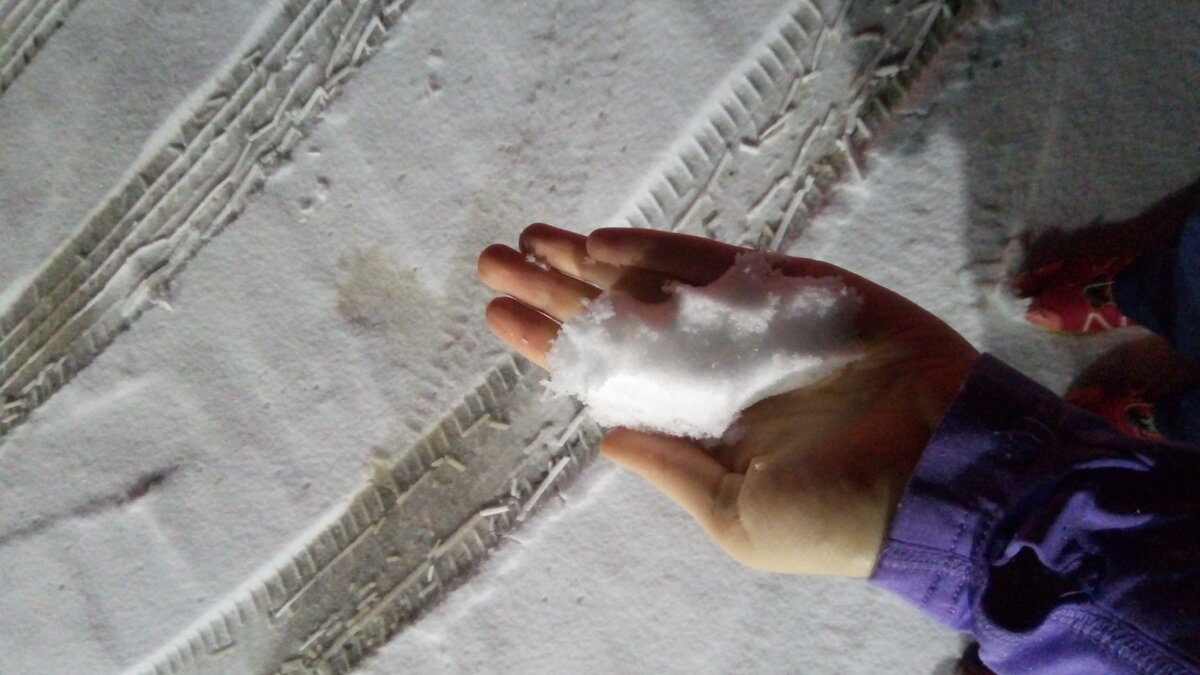 Фото сделано в Симферополе 11 декабря, 12го уже все растаяло.