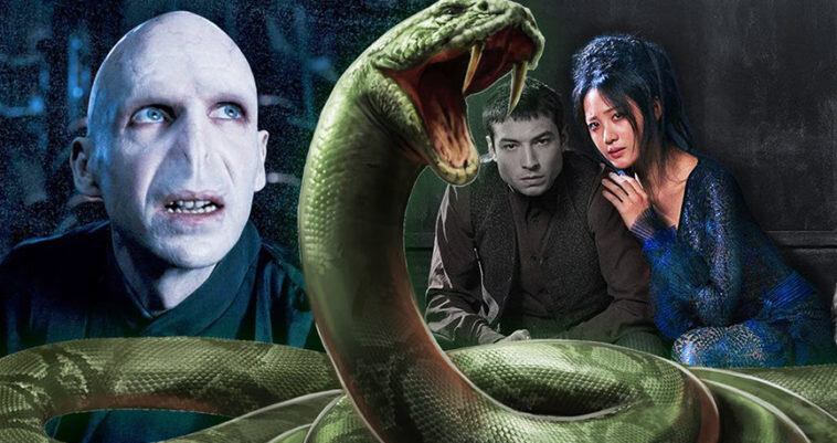 Фото с сайта riddleme.com