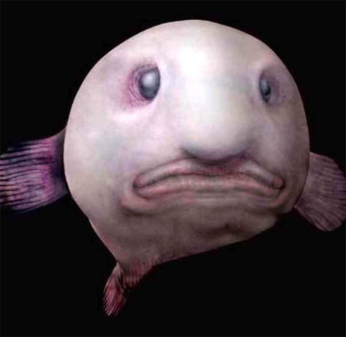 Ваши комментарии помогут продвижению канала. 