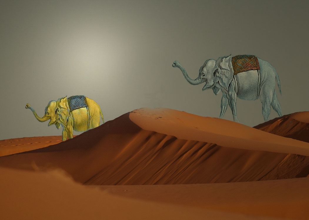 Утаптыватели идут на работу.