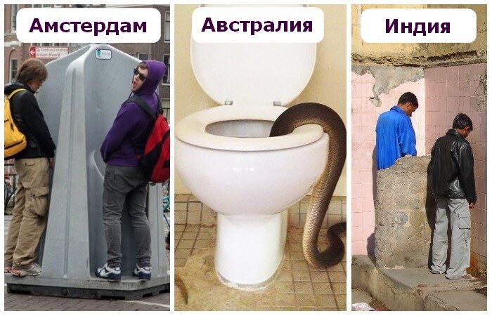  17 колоритных общественных уборных в разных странах мира.