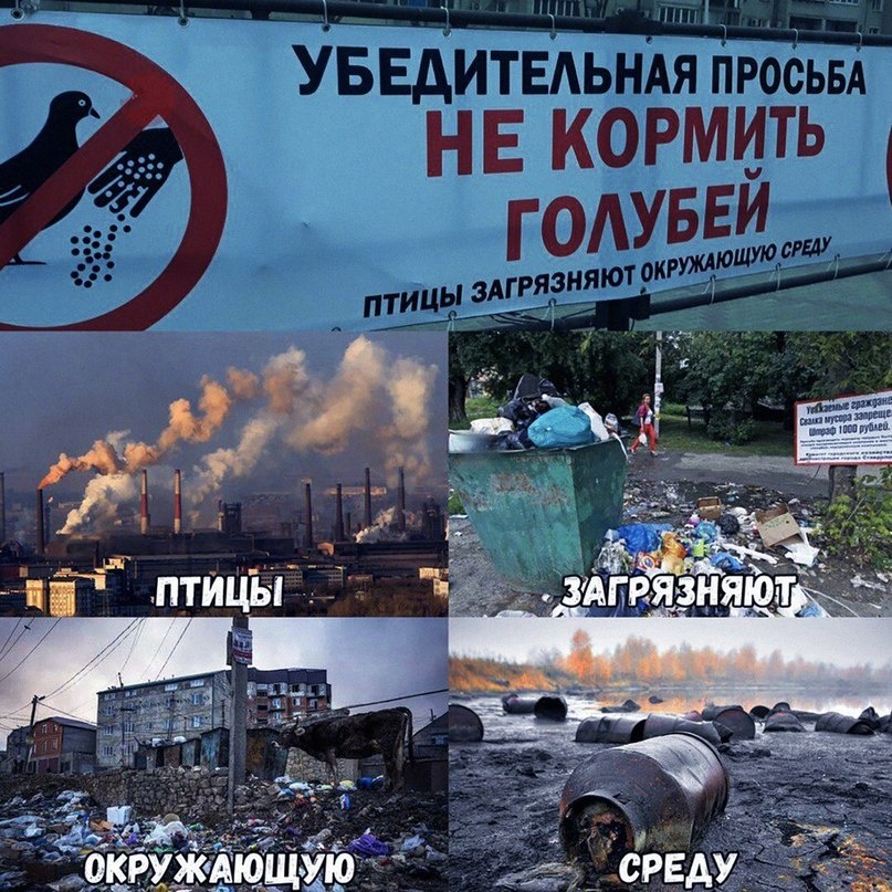 Просто крик души.  
Ненавижу людей, которые гадят себе же под ноги и захламляют окружающую среду. Я понять не могу - неужели нравится жить среди гор мусора и грязи? Особенно вымораживают умники, говорящие: "Пусть дворники убирают, это их работа". Серьёзно? То есть, кинуть бутылку в кусты при том, что в трёх метрах стоит урна - это должно быть в порядке вещей? Что должно быть в голове, чтобы считать такой ход мыслей правильным? 

Даже далеко ходить не надо - про свой город я часто слышу от местных, что он грязный и загаженный. Интересно, а благодаря кому он такой? Больше всего мне нравится то, что у этих людей всегда и во всём виноват мэр. Ага, и в том, что кому-то лень всего лишь НЕ ГАДИТЬ вокруг себя - в этом тоже, видимо, он виноват😒 
И оставить свалку в лесу после пикника, а потом орать, что везде грязно и отдохнуть негде - это мы тоже умеем. В лесополосе за городом страшно гулять. Страшно и грустно, потому что везде бутылки, битые стёкла, пакеты, пищевые отходы и горы какой-то неопознанной хрени. Вот честно, прибить за такое хочется. 

Вообще (если уж дать волю фантазии) круто было бы наставить камер (в населённых пунктах) или людей, которые бы следили за соблюдением чистоты (в местах отдыха на природе). Попался на выбрасывании мусора в неположенном месте - платишь хороший такой штраф и идёшь, допустим, на неделю бесплатно мести улицы. Попался во второй раз - штраф и две недели. И так далее. Может, хоть тогда люди научились бы ценить чистоту и порядок вокруг себя. Ведь большинство людей, как глупые щенки - пока носом не натыкаешь, не дойдёт. 

Запомните: чисто не там, где убирают, а там, где НЕ МУСОРЯТ. Берегите природу, мать вашу. 
Аминь.