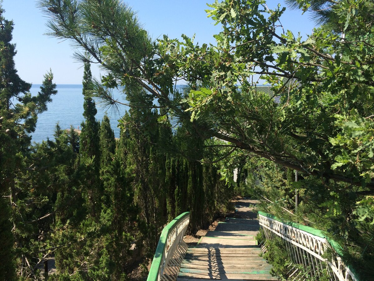 Пансионат алые паруса. Мыс Сатера Алушта. Алые паруса Крым Алушта. Поселок Сатера Крым. Пансионат Алые паруса Алушта.