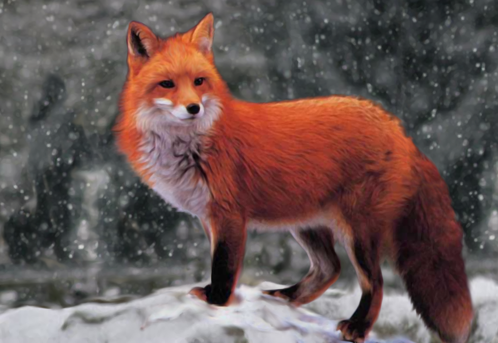 Фото с сайта http://img1.joyreactor.cc