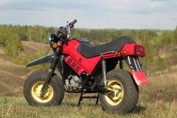 Мотовездеход ТМЗ-5.951