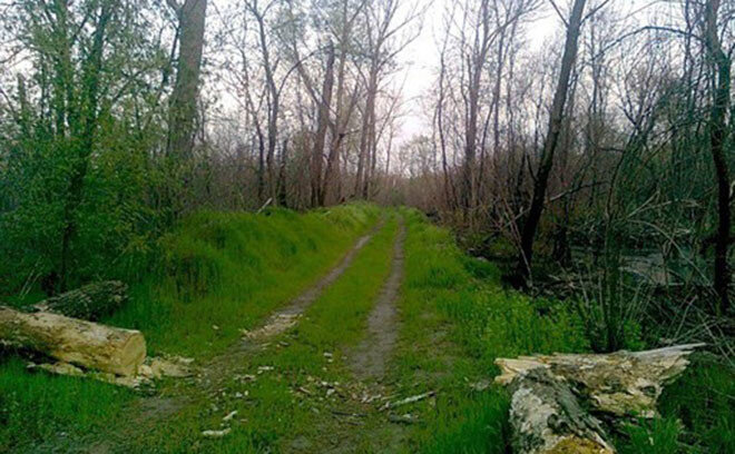 фото из открытых источников