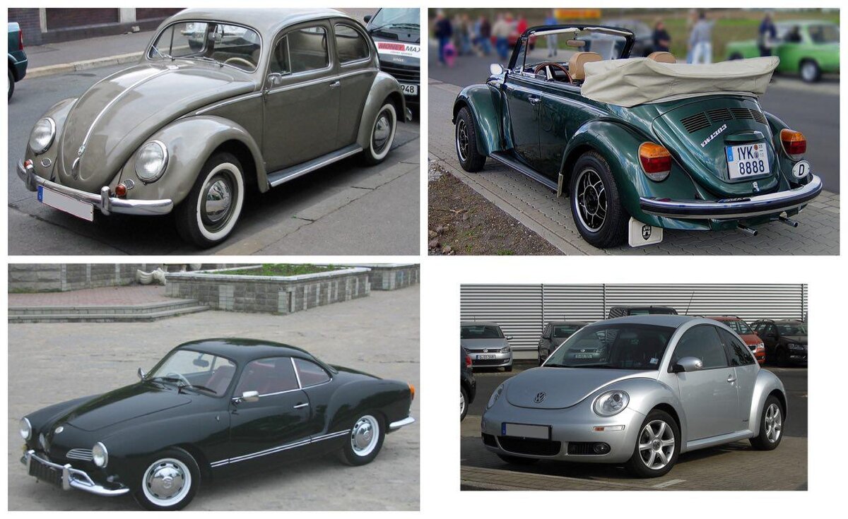 Источник изображений: https://ru.wikipedia.org