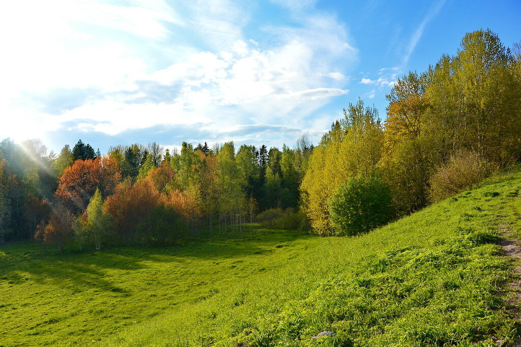 Под северным небом, среди Ладожских вод, маленький остров, километров так восемь квадратных, заросший лесом, ровный издалека, а на самом деле с небольшими холмами над роскошными и безлюдными песчаными пляжами. Тихий, уединенный остров Коневец, что не очень-то на слуху у туристов, даже речных. Отрада для глаз, необыкновенный запах: лес, лес, лес, густой лесной дух, к которому ничего не примешано. Ни одного постороннего звука. Нет людей, кроме нас, разобранных на небольшие группы и разведенных гидами в разные стороны. Природа, монастырь, скиты и часовни – остров... Представили? 
Кажется, что рассказать – проще простого: восхитись красотой, подпиши к фотографиям кусочки истории, штрихами набросай мистики (а она есть), пугни секретностью и колючей проволокой. Чем не рецепт гарантированно интересного места и добротного о нем рассказа? Места, где не у одной меня было явственное ощущение, что это милейшее, безмятежное и тишайшее место таким только кажется? Что бурлят тут невидимые бури и что монастырь, скиты и часовни стоят тут, как стражи вот этой видимой красоты и покоя. 

Читала я, что в советских энциклопедиях остров Коневец не упоминается вовсе, что не было его даже на общедоступных картах, а в путеводителе за 1956 год нашлась всего одна строчка: «Роскошным пляжем опоясан остров Коневец». И ни слова о том, что никакого доступа на эти пляжи тогда и близко не было. Нет на них загорающих и сейчас, но тому уже совсем другие причины, связанные со статусом острова-монастыря. Негоже в бикини на святой земле.

История древняя: Арсений Коневский и изгнание бесов
В 1393 году новгородский монах Арсений возвращался с Афона на землю Русскую, имея с собой икону Божией Матери, коей благословили его на Афоне, и намереваясь поселиться на одном из островов Ладожского озера. Заставшая его в пути буря прибила лодку к Коневцу. Несколько раз Арсений пытался отчалить от острова и продолжить свой путь, но волны снова и снова возвращали его обратно. Он понял, что это не случайно, и решил остаться. А тут еще и рыбак ему встретился, рассказавший, что место это бесовское, что стоит на острове Конь-камень, а на нем язычники жертвоприношения совершают. Тогда преподобный взял чудотворную икону и прилюдно отслужил здесь молебен с просьбой ко Всевышнему очистить остров от нечисти, после чего окропил камень святой водой. Далее в Житии написано, что из щелей, из-под камня выскочило нечто — вроде как воздух над огнем дрожит; все это поднялось над деревьями, превратилось в большую стаю ворон, которая улетела на Выборгский берег в сторону бухты. После молебна Арсения Коневского на Конь-Камне установили часовню.

Вряд ли кто из читающих это поверит в бесово воронье, а только ворон здесь нет. И змей нет, из всех Ладожских озер змей нет только здесь, и исчезли они по преданию аккурат в то самое время. Как-то раз школьники приплыли сюда с ужом в террариуме. Так этот уж в первую же ночь непонятным образом исчез из своего заточения.

Историю Коневского Рождествено-Богородичного монастыря лучше читать всерьез, двумя словами ее не опишешь: войны, перенесения в другие места, восстановления, опять погромы и забвение на многие годы. Святая земля превращена была после Великой Отечественнной в полигон по испытаниям первого советского химоружия. Но выстояла и  возродилась. Только одна история - история часовни в память о явлении Божией Матери старцу Иоакиму на месте, где до этого стоял воздвигнутый ещё при жизни самого Арсения деревянный поклонный крест. Крест был чудодейственным и помогал исцелять зубную боль. В 1740 году на месте креста была поставлена небольшая деревянная часовенка, а остатки самого креста были перенесены внутрь её и сохранялись там вплоть до прихода на Коневец военных частей Красной армии. Военные же оперативно разобрали часовню и соорудили из ее бревен КПП на пристани. И получилось, что по-прежнему охраняла эта часовня остров, и ничего тут не могло поделать никакое советское и военное начальство. Так она и выжила, и стала самой старой постройкой на острове, потому что вернулись на остров монахи и бережно разобрали тот КПП, а из сохранившегося материала снова восстановили часовню.

«Маленьких» историй здесь великое множество, даже первая могила на мирском кладбище сохранилась. Только и эти маленькие истории, если их все пересказать, еще не весь Коневец. К общей ауре острова приложили руку уфологии и прочие искатели чудес и мистики. Причем почва для их изысканий вполне реальная. Никем не отрицаются, а даже как-то исследуются светящиеся каменные кольца на дне Ладоги неподалеку от острова, периодические хроноаномалии и светящиеся шары вроде бы как подтверждены, и баррантидам найдено вроде бы внятное объяснение (гул это из-под воды, который время от времени здесь раздается, здесь и у Валаама), и кипящей холодным кипением воде Ладожского озера. И вроде бы по одному все объяснимы явления, но вот как подумаешь о всех сразу да в одном месте...

Нарисовалась какая-то мрачноватая картина этого чудесного, неповторимого, безмятежного острова? Но вот же он, вот так он нас встречает, где же тут мрачность и угроза? Бесы изгнаны вместе со змеями, экология, как говорят, восстановлена, красота вокруг неописуемая, братия в мире и согласии и с паломниками, и с туристами, а что еще нужно для обретения душевного покоя хотя бы на несколько часов, проведенных здесь? Да и не уходит это чувство, хоть время и бежит, а оно не уходит. Не зря я все пишу и пишу, и совсем не хочу заканчивать уже такой неприлично большой рассказ…

