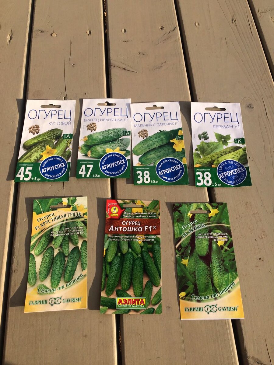 Уже второй  год я покупаю семена этих компаний. Всхожесть -высокая