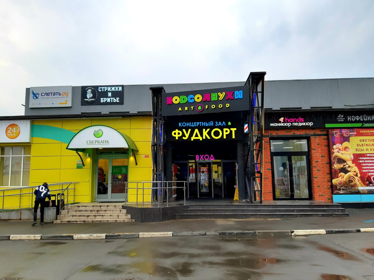 декоративные подсолнухи на клумбе. многоэтажные дома на фоне подсолнухов. подсолнух декоративный на участке. подсолнухи в парке зарядье. подсолнухи в корзине.