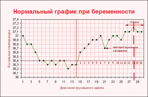 Температура после ЭКО