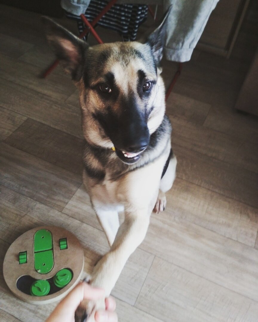 Кира, 3 года