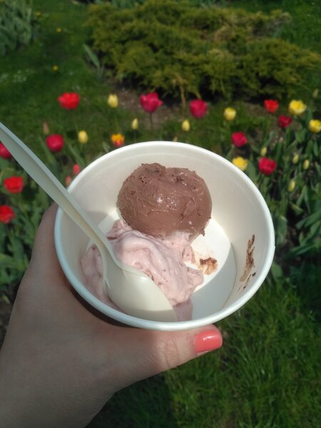 Два шарика мороженого: шоколадное и клубничное