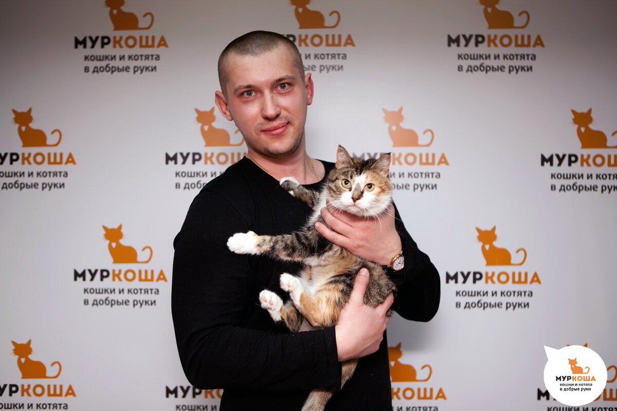 Бездомная трёхцветная Латифа жила при продуктовой палатке в городе Истре, а дождь и холод пережидала в подвале! Латифе повезло: ее заметили волонтёры и доставили в приют, вскоре кошечка обрела Дом!