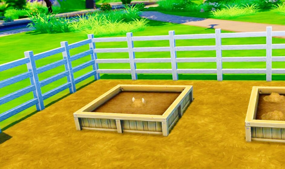 Молодой Проглотис