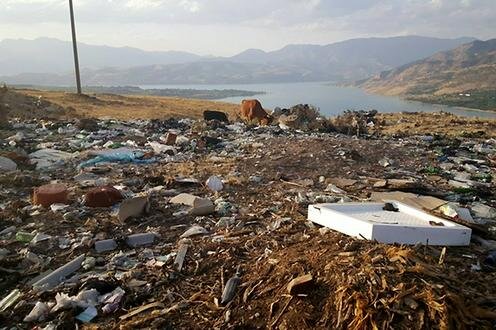  Нелегальная свалка в Ташкентской области. Фото с сайта Gazeta.uz