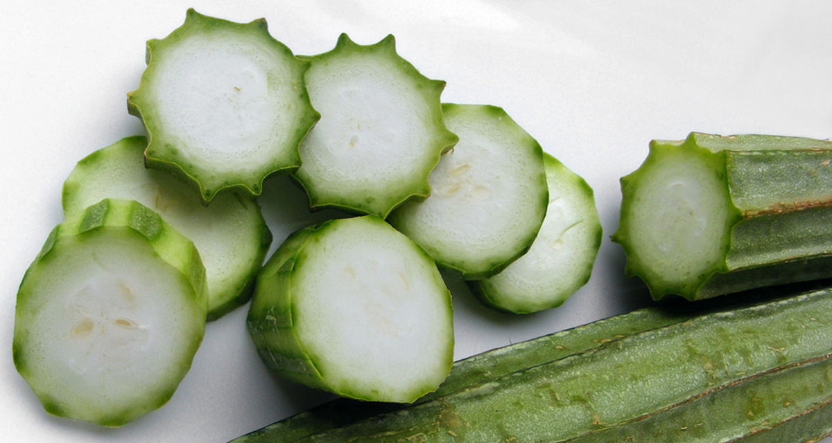    молодые плоды люффы