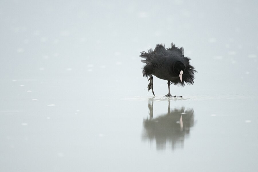 Крым. г. Евпатория