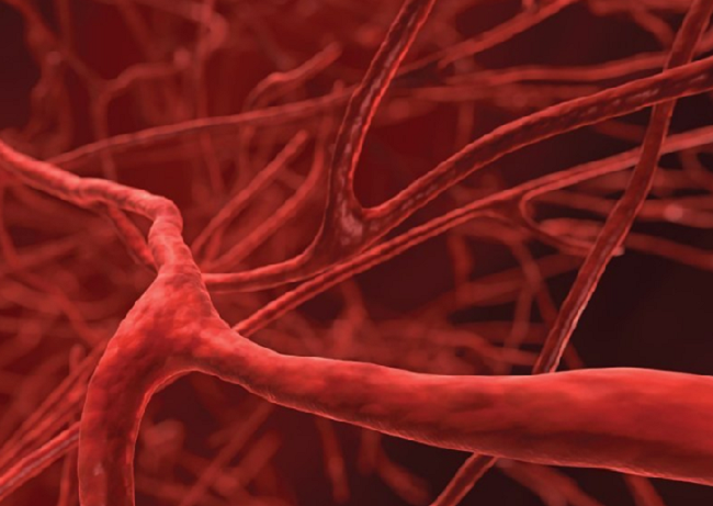 фото: http://www.vseznaika.org