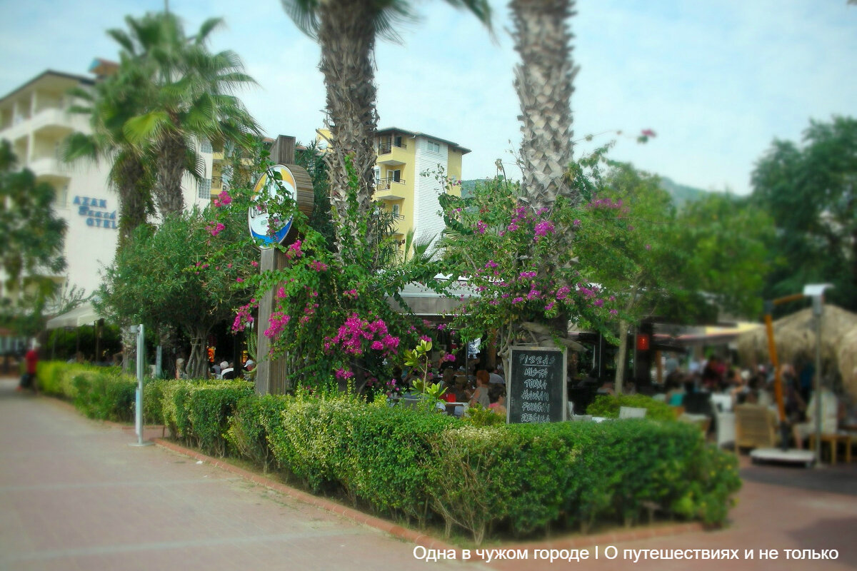 Название говорит само за себя - этот бар расположен весьма в романтическом месте - на пляже Клеопатры