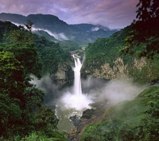 Джунгли амазонки